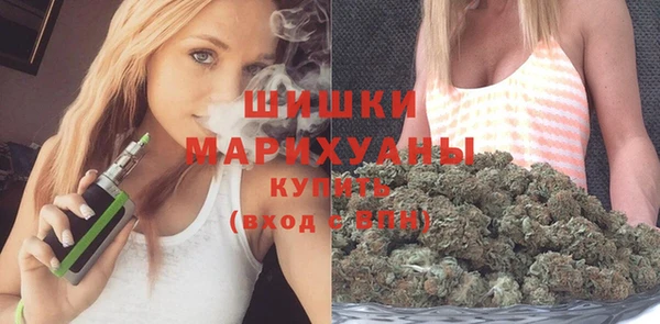 прущий лед Богородск