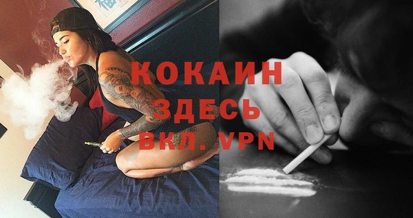 прущие крисы Богданович