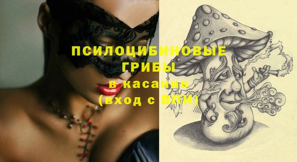 a pvp Богородицк