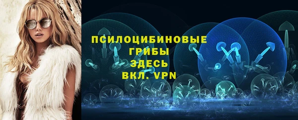 прущие крисы Богданович